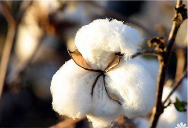 健康材质 品质保障